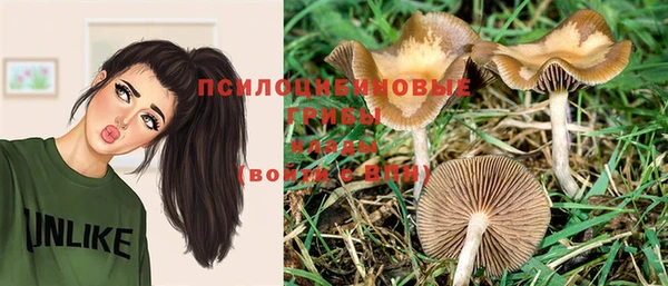 Альфа ПВП Алексеевка