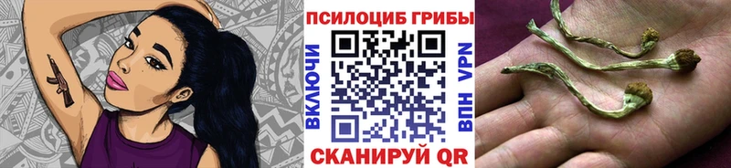 Галлюциногенные грибы MAGIC MUSHROOMS  Абинск 
