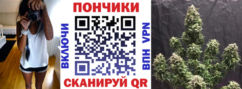 mega вход  Абинск  Бошки Шишки план 